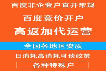 百度竞价运营实战技巧：案例分析与优化